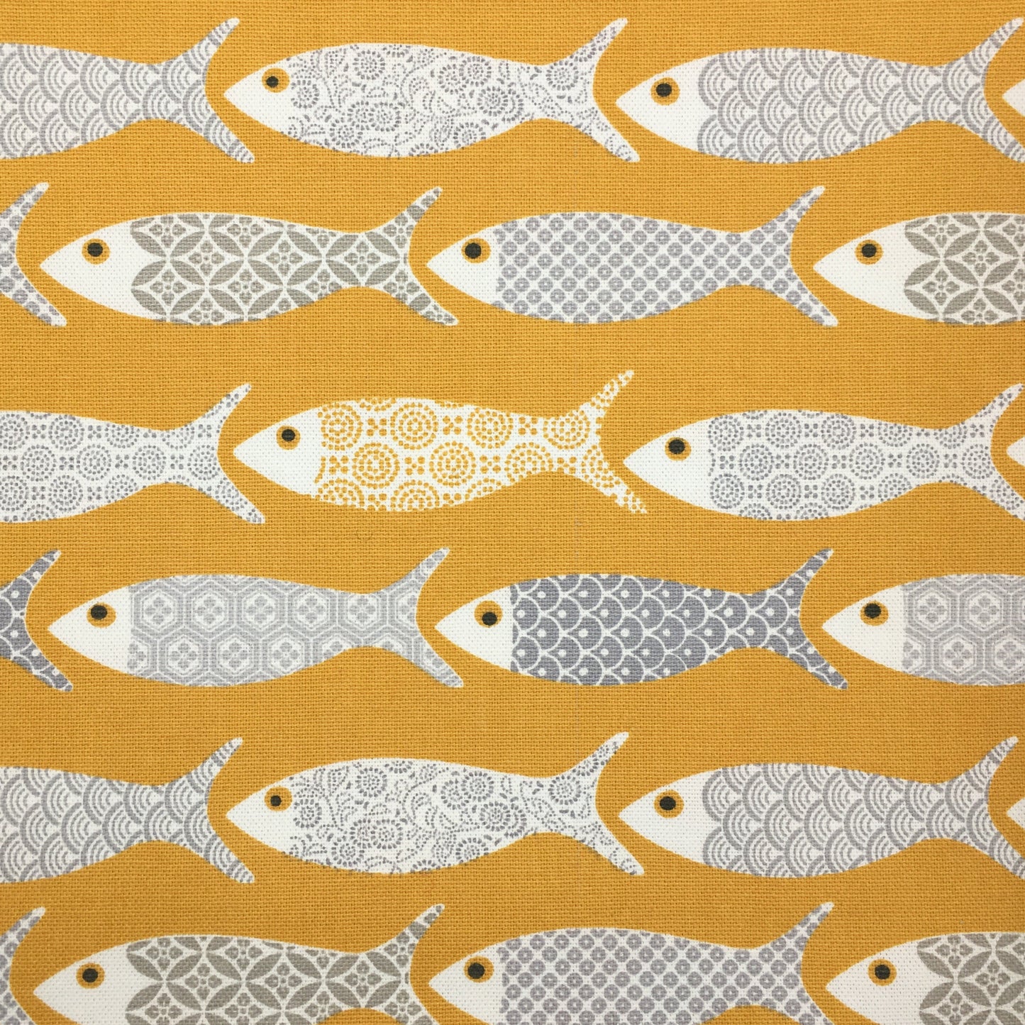 Maniques Poissons - Jaune / Anthracite